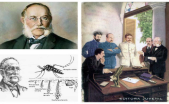 Contramaestre contra el mosquito Aedes Aegypti y el dengue