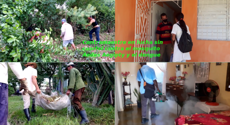 Desarrollan acciones preventivas contra el dengue Contramaestre