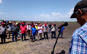 Hombres y mujeres que aman la tierra