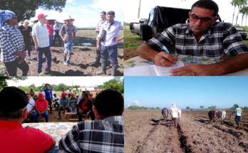 Desarrollan Partido y gobierno permanente control a la agricultura de Santiago de Cuba