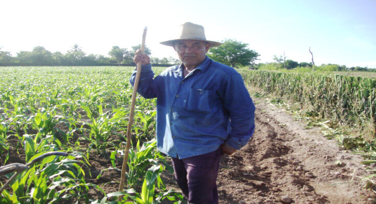 Siembra cultivos de frio en Laguna Blanca