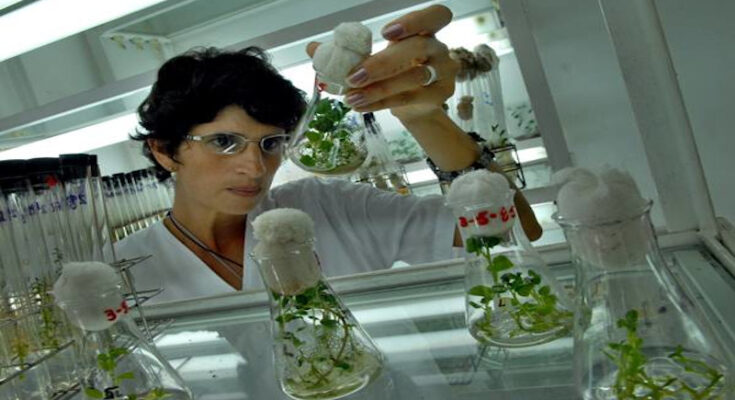 Contramaestre en busca de aplicar más ciencia en la agricultura