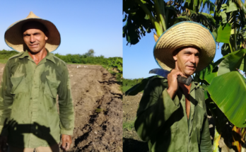 Yadier, un apasionado por la tierra 3 Yadier, un apasionado por la tierra