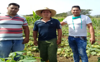 Innovación y ciencia a favor de la alimentación 4 Innovación y ciencia a favor de la alimentación