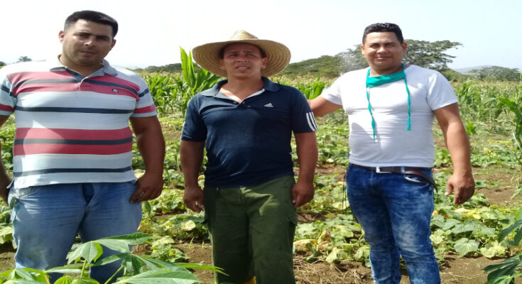 Innovación y ciencia a favor de la alimentación