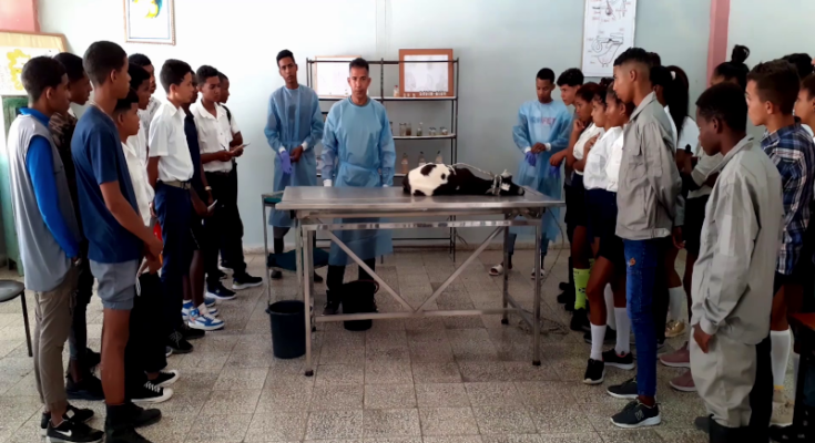 Estrategia docente productiva en enseñanza politécnica 1 Estrategia docente productiva en enseñanza politécnica