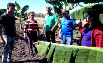 Altos impactos del INIVIT en la agricultura oriental cubana (+Video) 1 Altos impactos del INIVIT en la agricultura oriental cubana