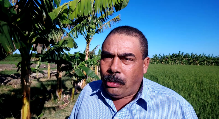 La Mantonia hacia mejor calidad en la producción de alimentos