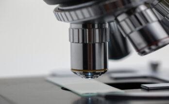 La ciencia en Contramaestre hacia mayor producción de alimentos.