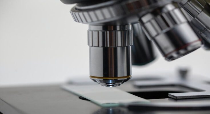La ciencia crea frutos y admiración 1 La ciencia en Contramaestre hacia mayor producción de alimentos.