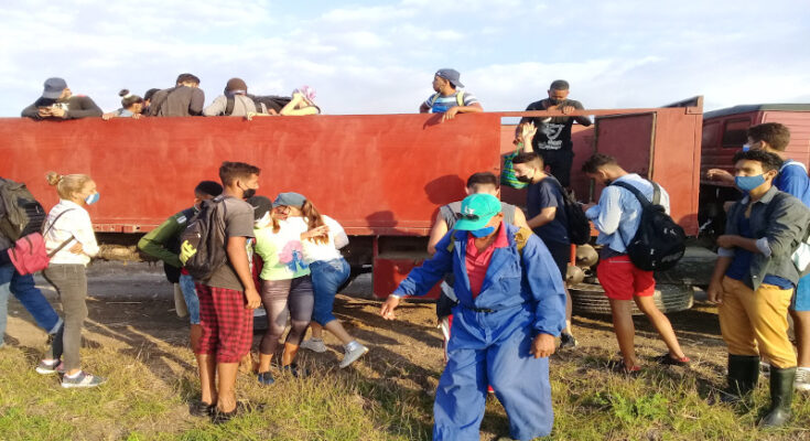 Contramaestre prepara estudiantes de carreras vinculadas a la zafra