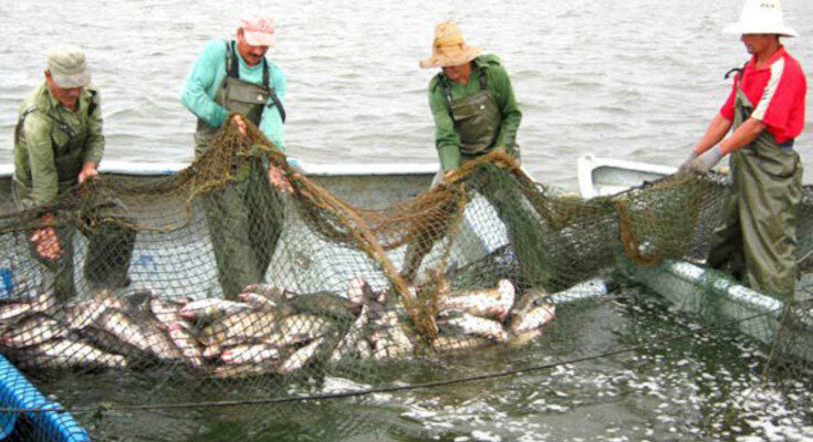 Día de la pesca en Contramaestre, confidentes de aguas dulces