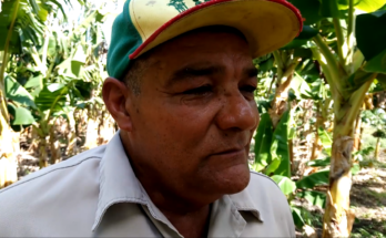 producir alimentos, prioridad de Chao