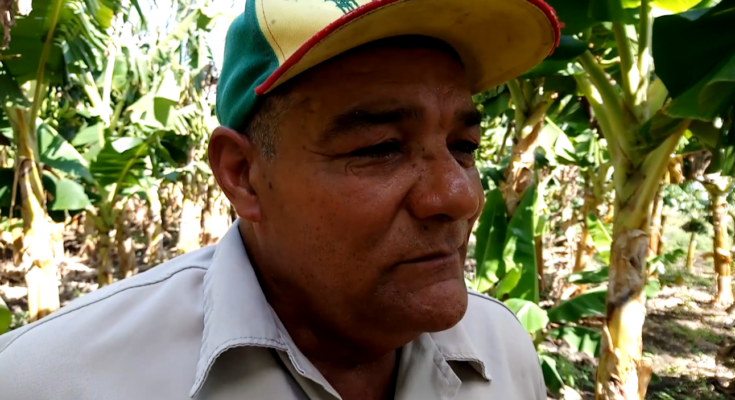 producir alimentos, prioridad de Chao