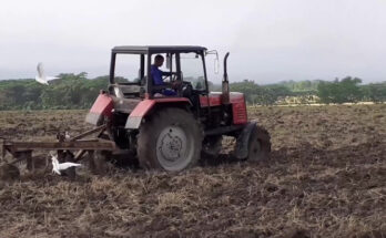 Resultados y metas de la empresa agroindustrial América Libre de Contramaestre 10 agricultura de Contramaestre, desafíos en el 2023. Empresa América Libre