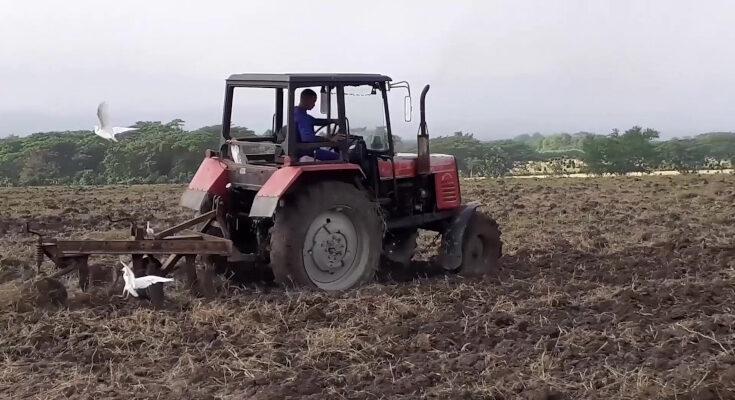 Resultados y metas de la empresa agroindustrial América Libre de Contramaestre 1 agricultura de Contramaestre, desafíos en el 2023. Empresa América Libre