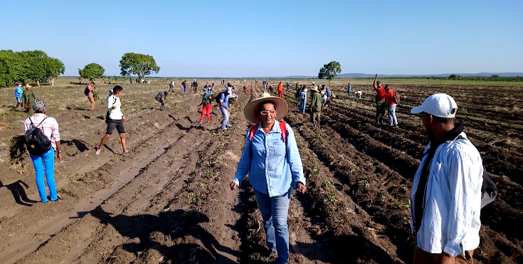 Movimiento obrero de Contramaestre en jornadas productivas por el 1ro de Mayo 1 movimiento obrero de Contramaestre en 1ro de Mayo