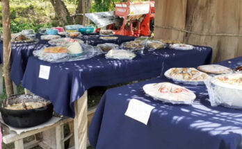 Desarrollan jornada de tradiciones campesinas en Contramaestre 1 tradiciones campesinas en Contramaestre