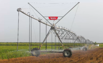 Alcanzar la soberanía alimentaria en Contramaestre
