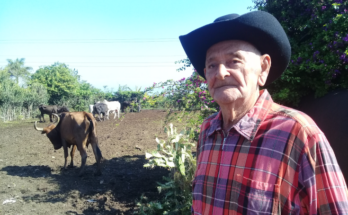 Ganadería de Contramaestre crece con productores como Fulbio