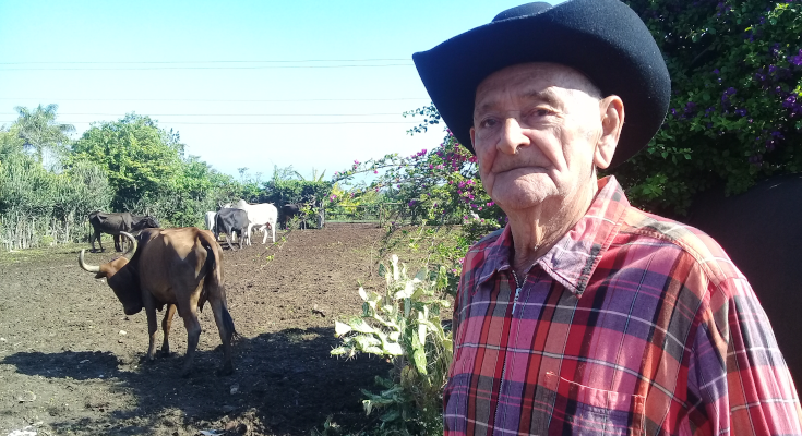 Ganadería de Contramaestre crece con productores como Fulbio