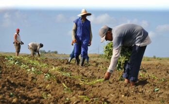 Fuerza de adoración a la tierra 8 día del campesino, hombres de tierra