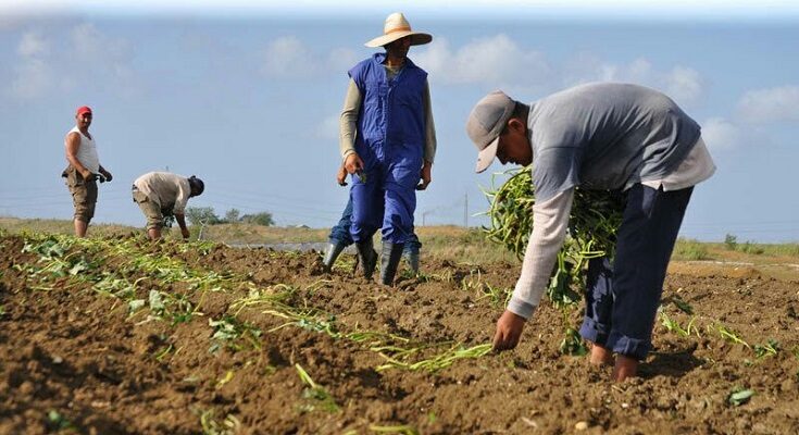 Fuerza de adoración a la tierra 1 día del campesino, hombres de tierra