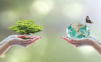 Salvar el planeta, urgentcia en el Día Mundial del Medio Ambiente