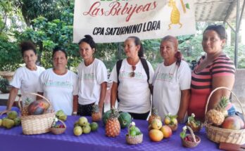 Se gradúan en Contramaestre especialistas en Sistema de Innovación Agropecuaria Local 1 En Contramaestre especialistas en Sistema de Innovación Agropecuaria Local