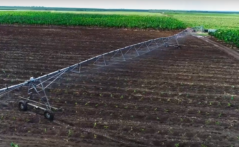 Agropecuarios de Contramaestre tras la soberanía alimentaria y autoabastecimiento local