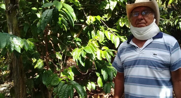 Ramón un productor líder de café en Contramaestre