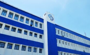 Suchel Camacho con nueva línea Bambú