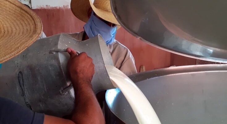 Retraso en Contramaestre en la entrega de carne y leche