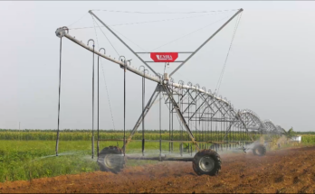 Seguridad y soberanía alimentaria, la meta 1 Alcanzar la seguridad y soberanía alimentaria es la meta en Contramaestre