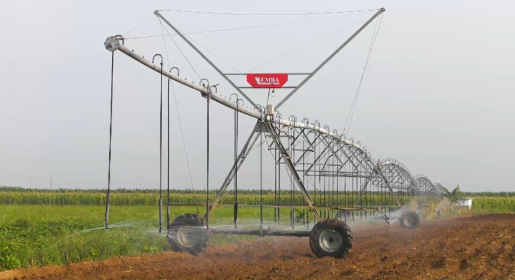 Seguridad y soberanía alimentaria, la meta 1 Alcanzar la seguridad y soberanía alimentaria es la meta en Contramaestre