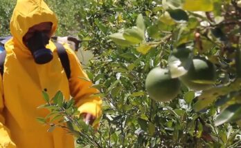 Mirada a la producción y comercialización en la asamblea del Poder Popular