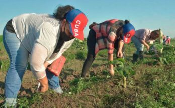 A trabajadores que salvan la Patria en su integridad 7 Reconocimiento a trabajadores civiles de la defensa