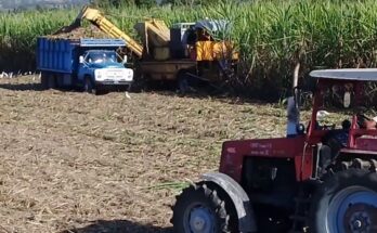 Celebran aniversario de la UBPC cañeras en Contramaestre