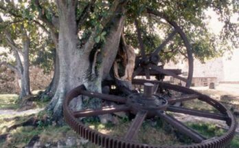 El Grito continuador de la total independencia 10 155 años del Grito de Independencia por Carlos Manuel de Céspedes