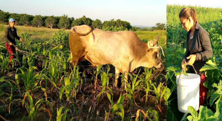 Alma de flor desde la ruralidad de Yusimí Sánchez Fernández