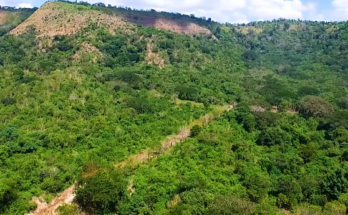 Guardabosques se preparan en taller de manejo de fuego