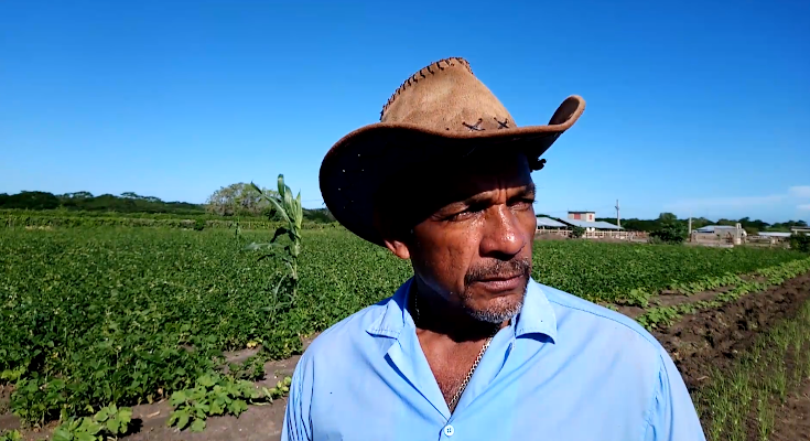 Producciones diversas en finca ganadera de Contramaestre
