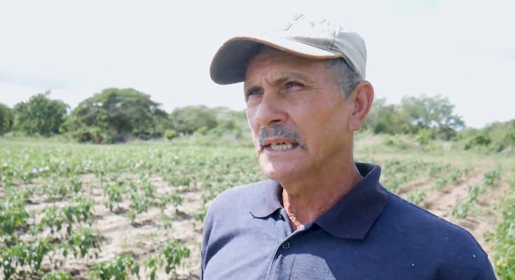 Se proponen el pago a tiempo a productores en empresa de Contramaestre 1 Productores de Contramaestre exigen pagos a tiempo de los cultivos
