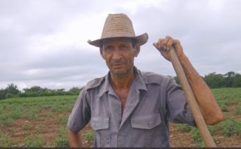 Empresa Agro-Industrial América Libre de Contramaestre perfecciona atención a su base productiva 1 Empresa América Libre de Contramaestre potencia atención a productores