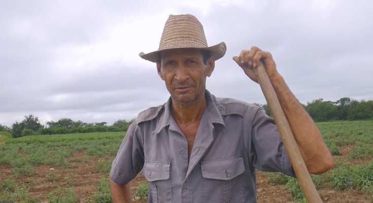Empresa América Libre de Contramaestre potencia atención a productores