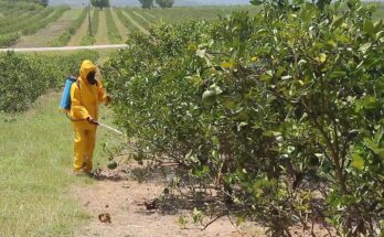 Empresa América Libre de Contramaestre