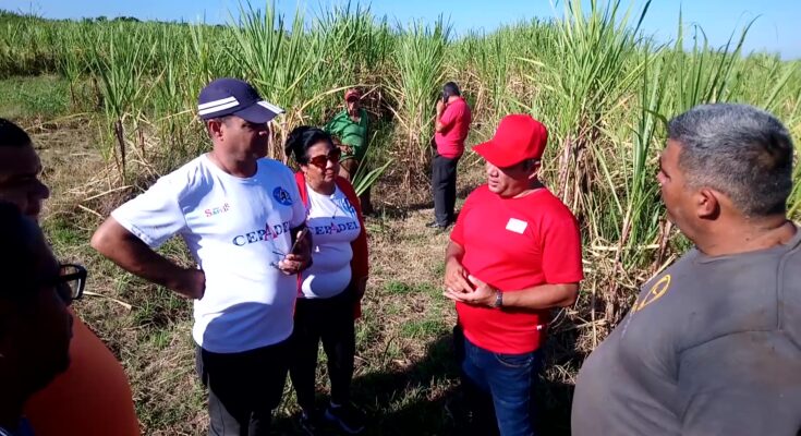 Secretario del Partido en Contramaestre recorre áreas de interés productivo del municipio