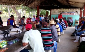 Campesinos abogan por incrementar producciones en el 2024