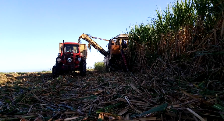 Recuperan en Contramaestre antigua cosechadora de caña 1 Cosechadora de caña en Contramaestre