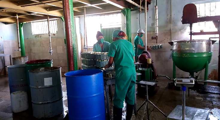 Proyectos de desarrollo local en Contramaestre